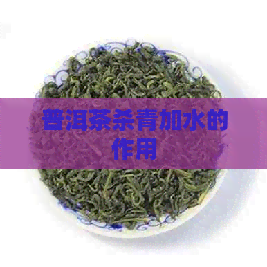 普洱茶杀青加水的作用