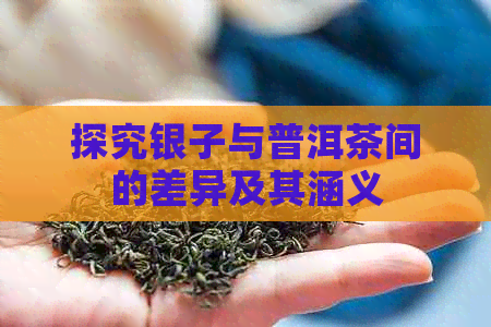 探究银子与普洱茶间的差异及其涵义