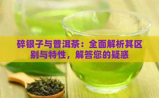 碎银子与普洱茶：全面解析其区别与特性，解答您的疑惑