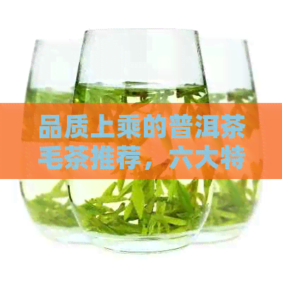 品质上乘的普洱茶毛茶推荐，六大特色让你回味无穷