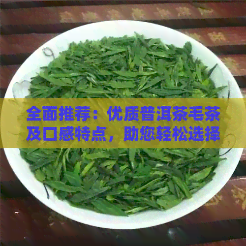 全面推荐：优质普洱茶毛茶及口感特点，助您轻松选择适合自己的好茶！