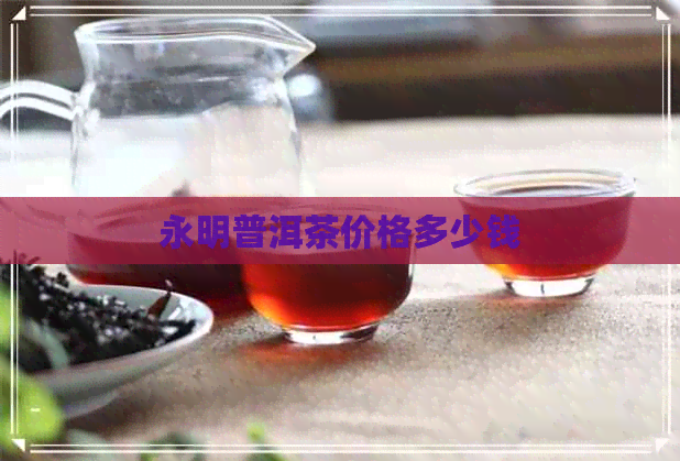 永明普洱茶价格多少钱