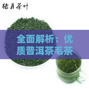 全面解析：优质普洱茶毛茶推荐与品鉴，让您轻松找到好喝的茶叶