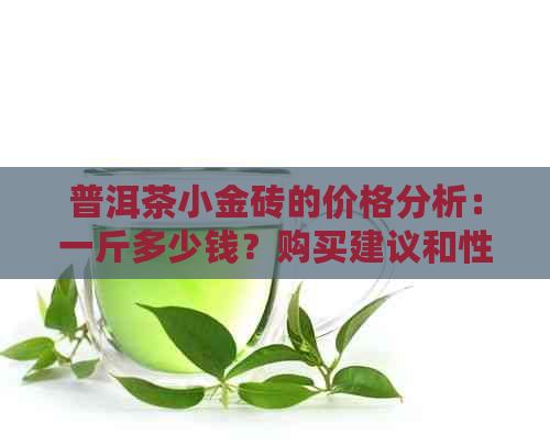 普洱茶小金砖的价格分析：一斤多少钱？购买建议和性价比探讨