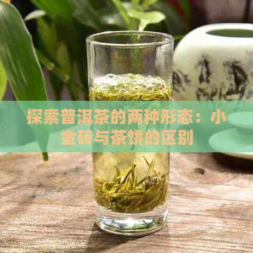 探索普洱茶的两种形态：小金砖与茶饼的区别