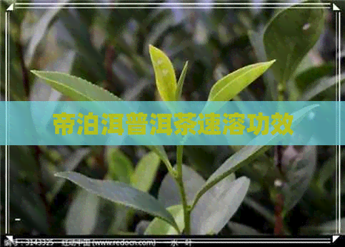 帝泊洱普洱茶速溶功效