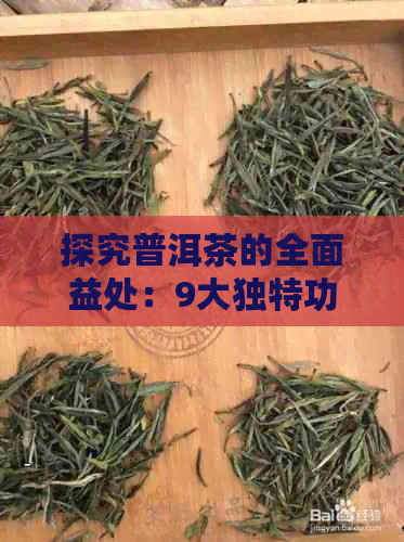 探究普洱茶的全面益处：9大独特功效与使用注意事项