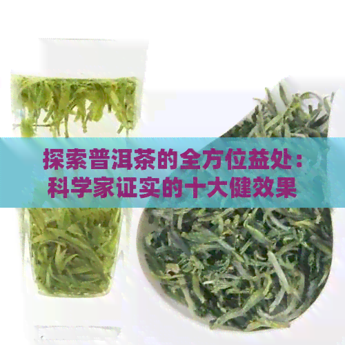 探索普洱茶的全方位益处：科学家证实的十大健效果