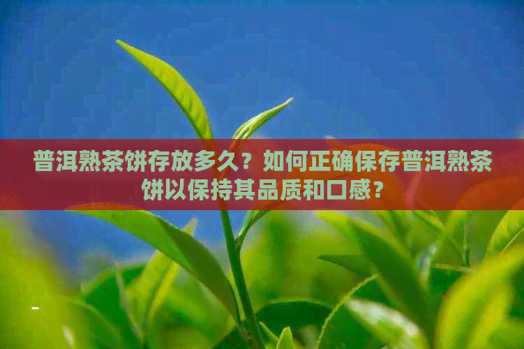 普洱熟茶饼存放多久？如何正确保存普洱熟茶饼以保持其品质和口感？