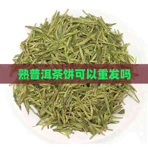 熟普洱茶饼可以重发吗