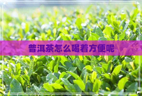 普洱茶怎么喝着方便呢