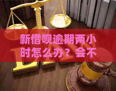 新借呗逾期两小时怎么办？会不会影响个人信用？如何避免逾期问题？