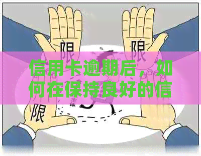 信用卡逾期后，如何在保持良好的信用记录下申请贷款？