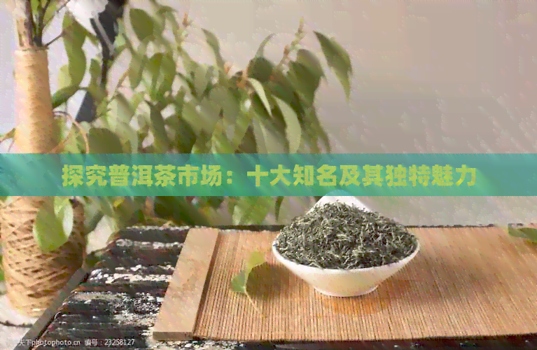 探究普洱茶市场：十大知名及其独特魅力