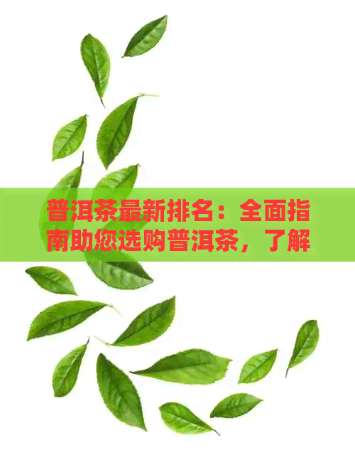 普洱茶最新排名：全面指南助您选购普洱茶，了解市场现状与品质分析