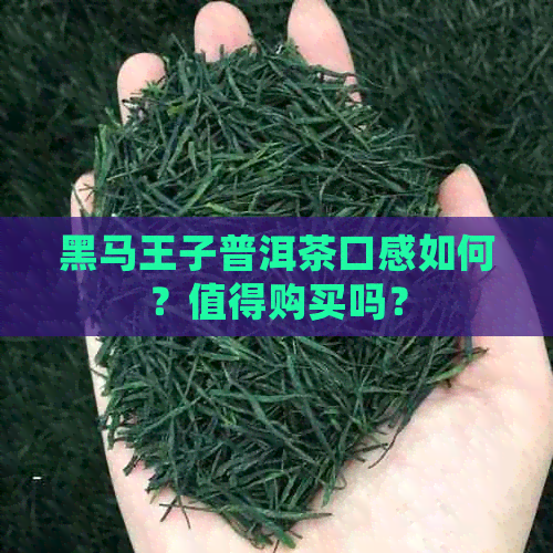 黑马王子普洱茶口感如何？值得购买吗？