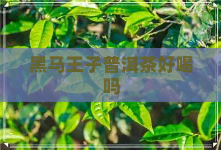 黑马王子普洱茶好喝吗