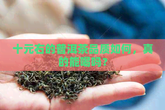 十元右的普洱茶品质如何，真的能喝吗？