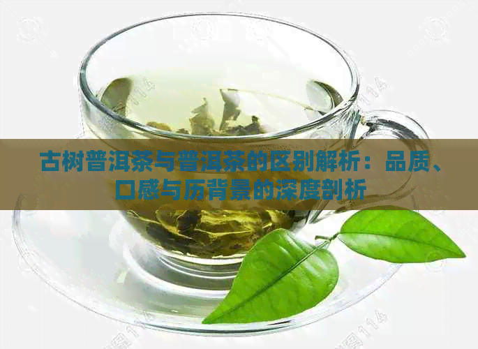 古树普洱茶与普洱茶的区别解析：品质、口感与历背景的深度剖析