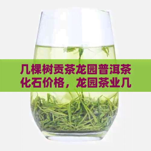 几棵树贡茶龙园普洱茶化石价格，龙园茶业几棵树普洱茶