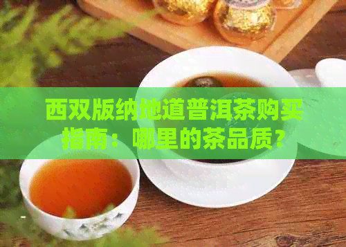 西双版纳地道普洱茶购买指南：哪里的茶品质？