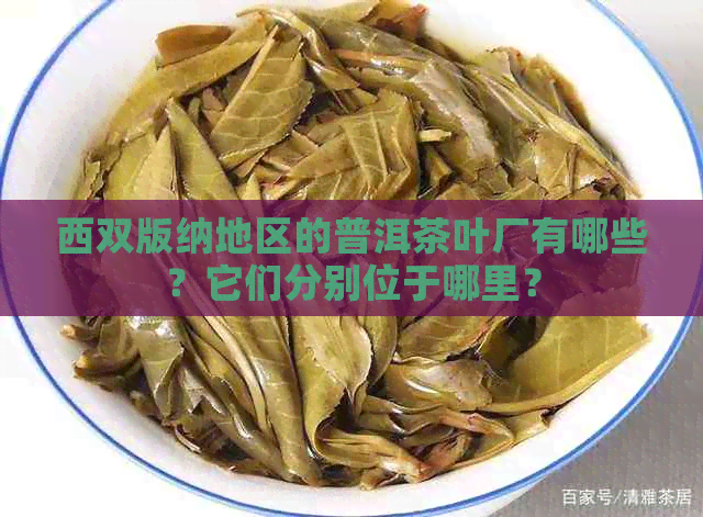 西双版纳地区的普洱茶叶厂有哪些？它们分别位于哪里？