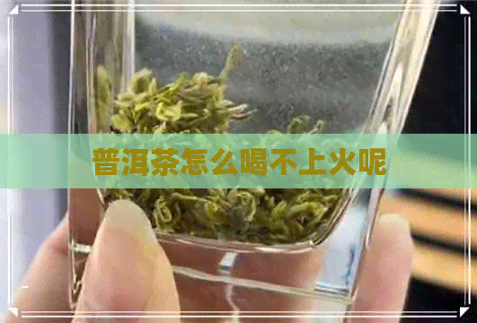 普洱茶怎么喝不上火呢