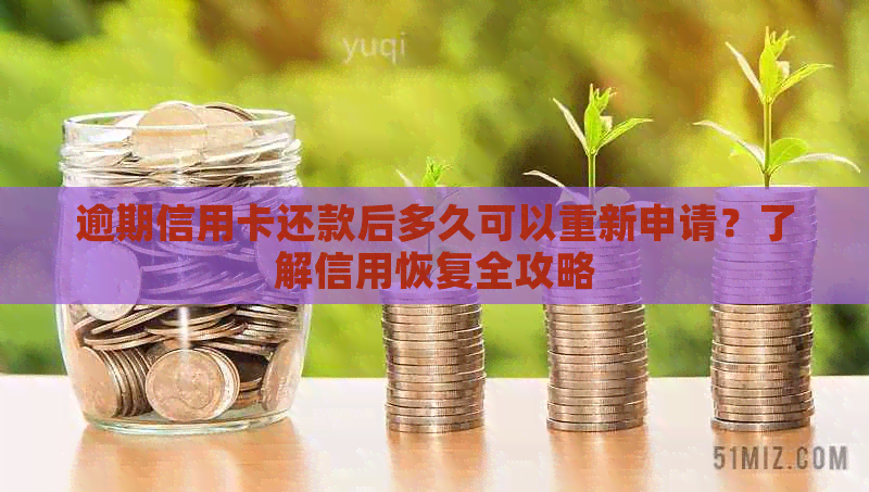 逾期信用卡还款后多久可以重新申请？了解信用恢复全攻略