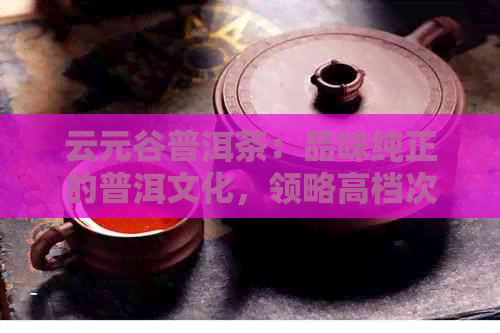 云元谷普洱茶：品味纯正的普洱文化，领略高档次的茶艺魅力