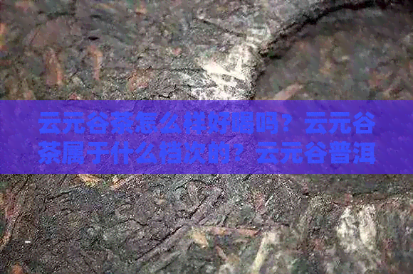 云元谷茶怎么样好喝吗？云元谷茶属于什么档次的？云元谷普洱茶怎么样？