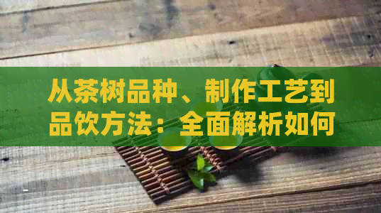 从茶树品种、制作工艺到品饮方法：全面解析如何选购和品尝普洱茶