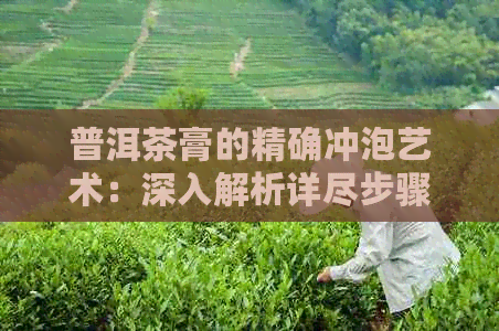 普洱茶膏的精确冲泡艺术：深入解析详尽步骤与独特技巧