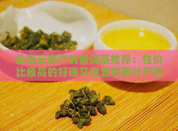 云南云南产的普洱茶推荐：性价比更高的好喝又便宜的茶叶产地