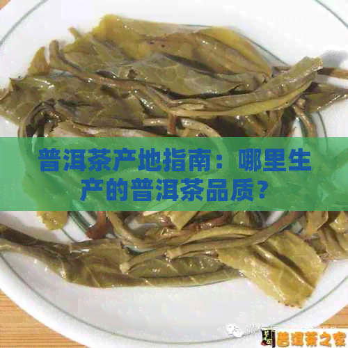 普洱茶产地指南：哪里生产的普洱茶品质？