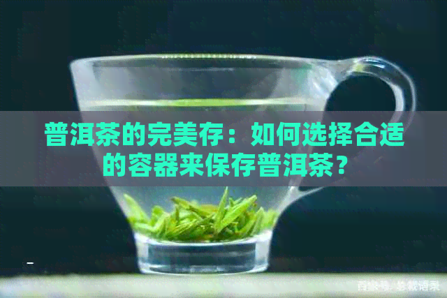 普洱茶的完美存：如何选择合适的容器来保存普洱茶？