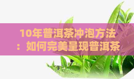 10年普洱茶冲泡方法：如何完美呈现普洱茶饼的醇厚口感