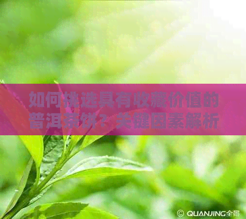 如何挑选具有收藏价值的普洱茶饼？关键因素解析与建议