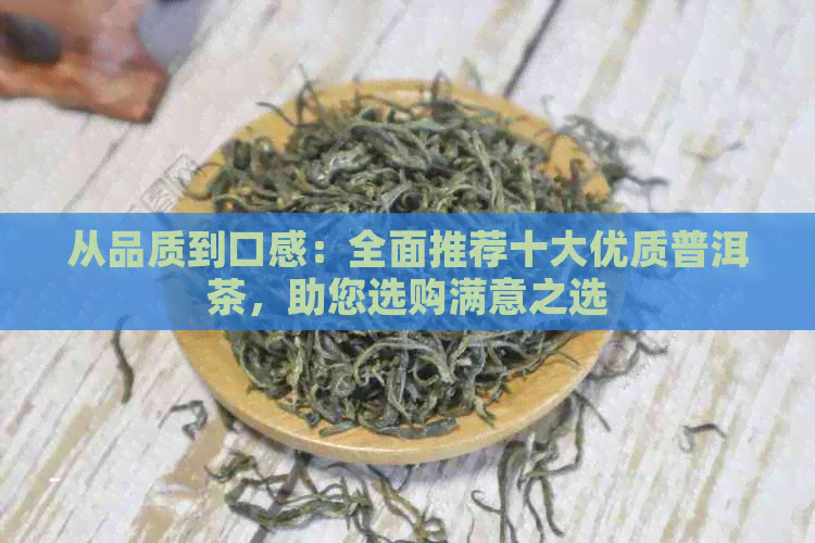 从品质到口感：全面推荐十大优质普洱茶，助您选购满意之选