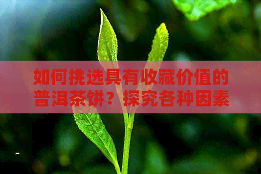 如何挑选具有收藏价值的普洱茶饼？探究各种因素和品质特点