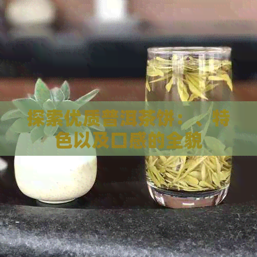 探索优质普洱茶饼：、特色以及口感的全貌