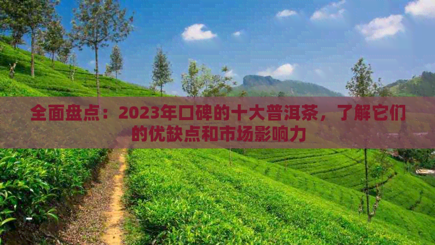 全面盘点：2023年口碑的十大普洱茶，了解它们的优缺点和市场影响力