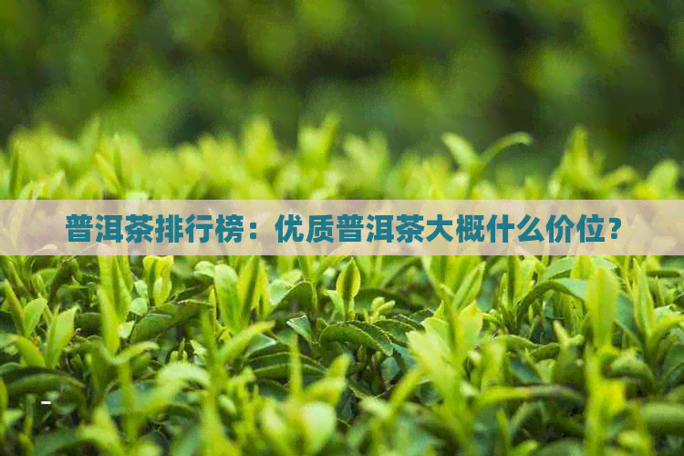 普洱茶排行榜：优质普洱茶大概什么价位？