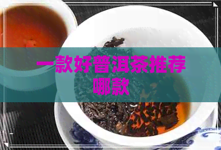 一款好普洱茶推荐哪款