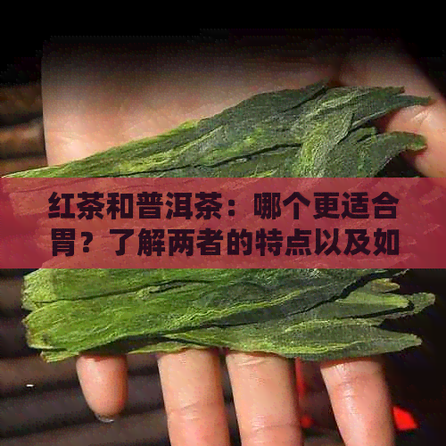 红茶和普洱茶：哪个更适合胃？了解两者的特点以及如何选择最适合您的茶叶