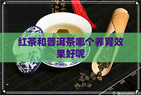 红茶和普洱茶哪个养胃效果好呢