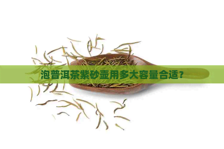 泡普洱茶紫砂壶用多大容量合适？