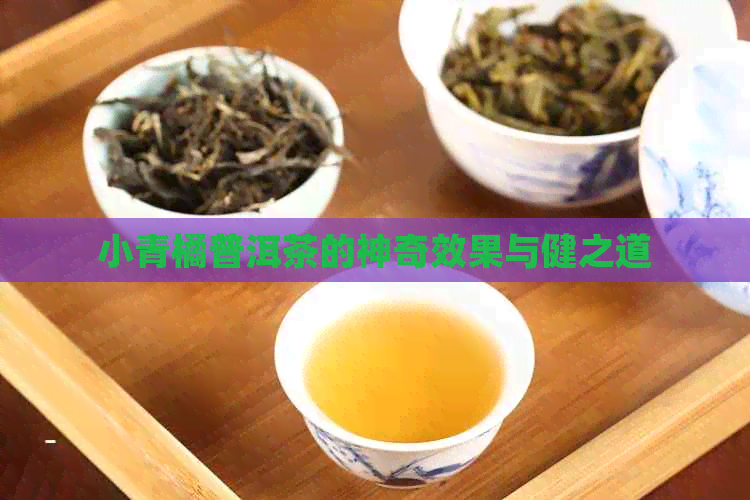 小青橘普洱茶的神奇效果与健之道