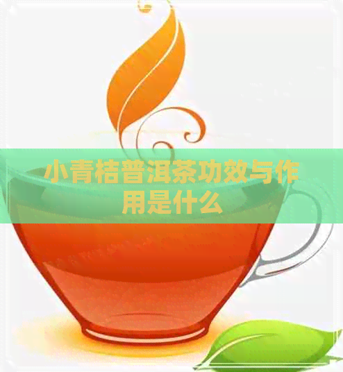 小青桔普洱茶功效与作用是什么