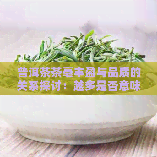 普洱茶茶毫丰盈与品质的关系探讨：越多是否意味着越好？