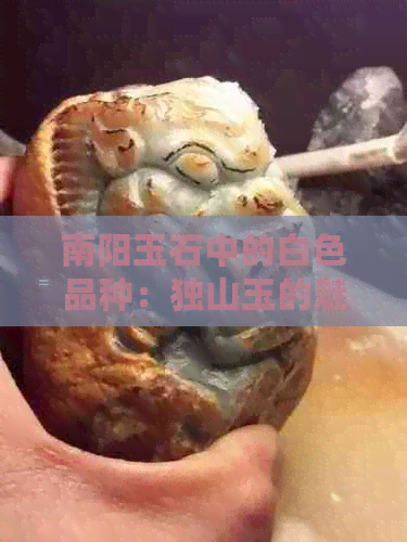 南阳玉石中的白色品种：独山玉的魅力解析与比较